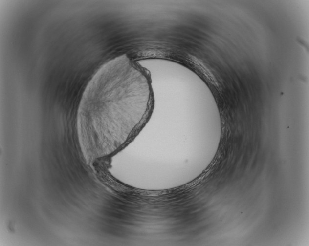 X0000096660163200803041208