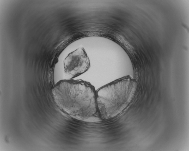 X0000096660165200803041208