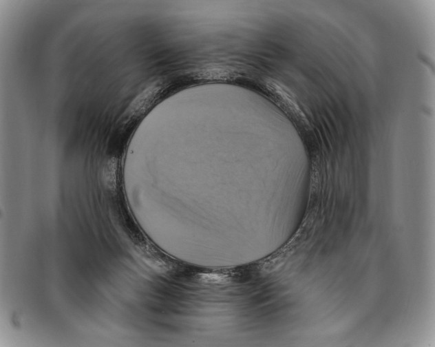 X0000096660167200803041208