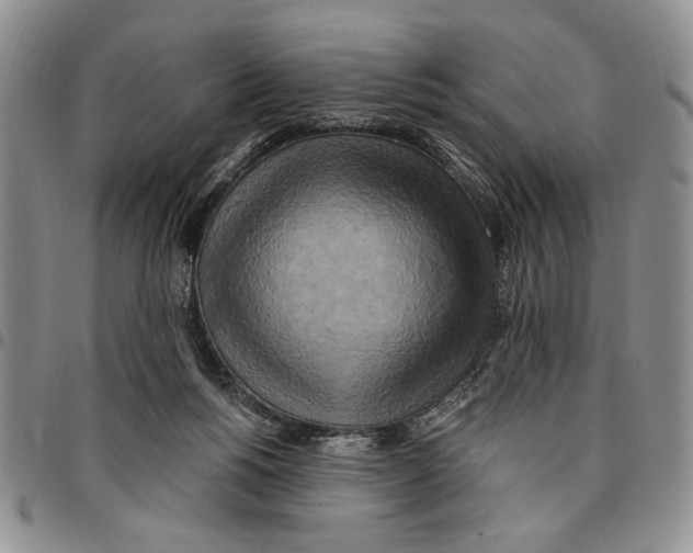 X0000096660168200803041208