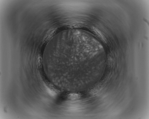 X0000096660169200803041208