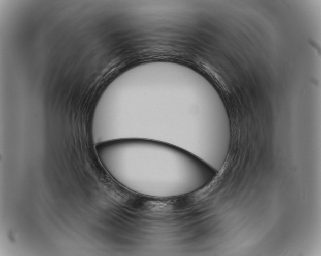 X0000096660170200803041208