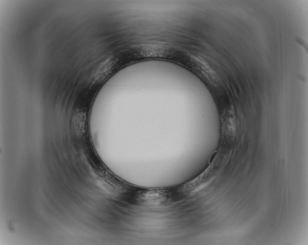 X0000096660171200803041208