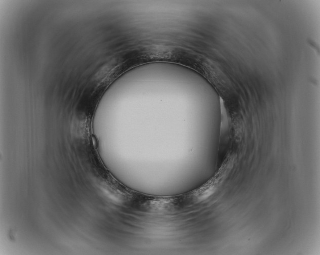 X0000096660172200803041208