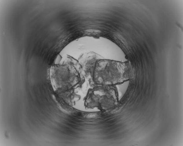 X0000096660173200803041208