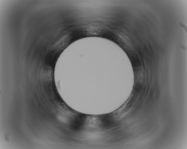 X0000096660174200803041208