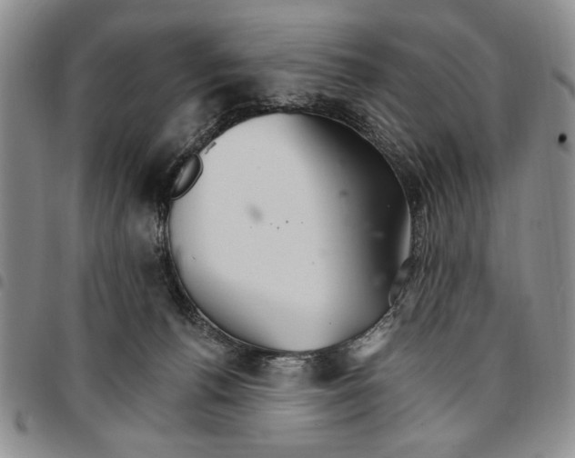 X0000096660176200803041208