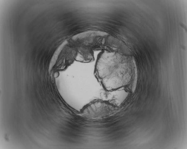 X0000096660177200803041208