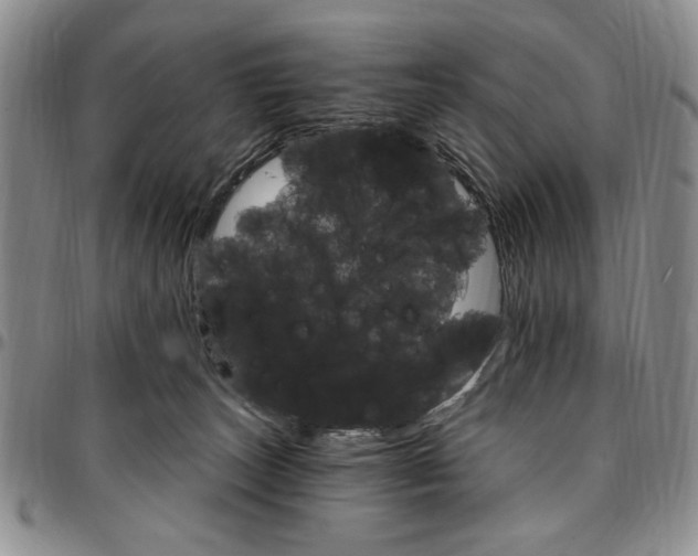 X0000096660179200803041208