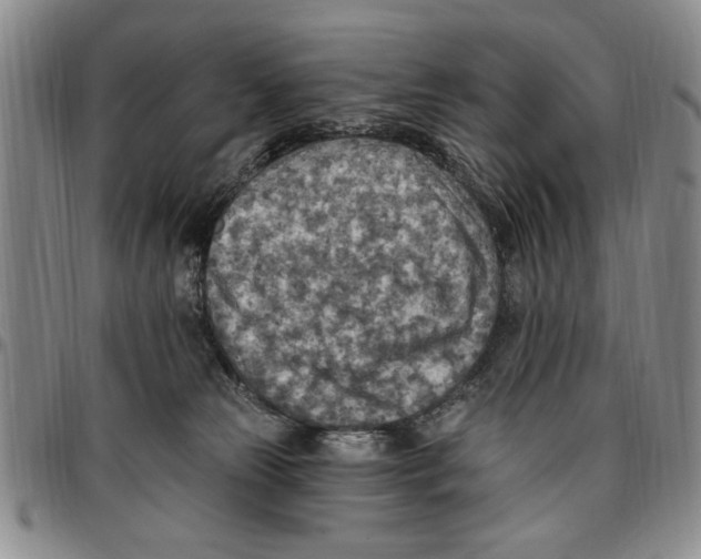 X0000096660181200803041208