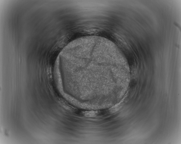 X0000096660182200803041208