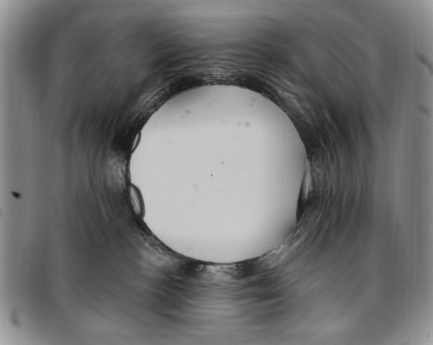 X0000096660188200803041208