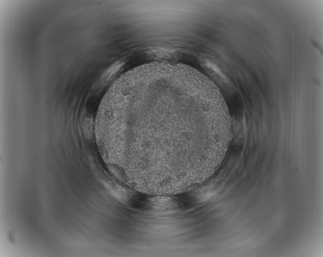 X0000096660189200803041208