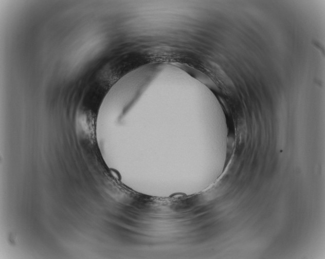 X0000096660190200803041208