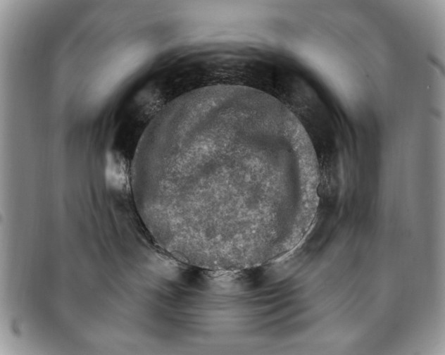 X0000096660191200803041208