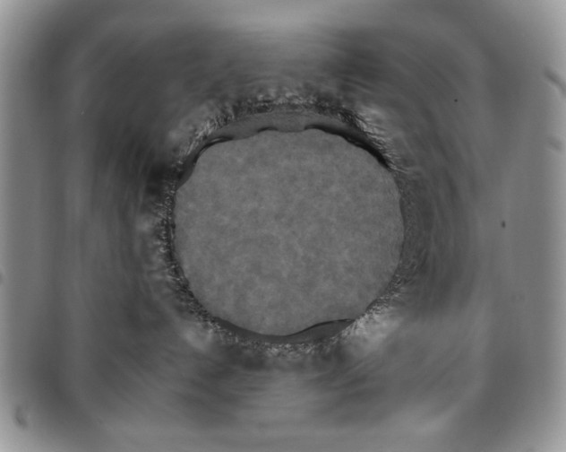 X0000096660192200803041208