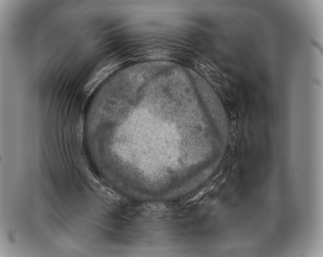 X0000096660194200803041207