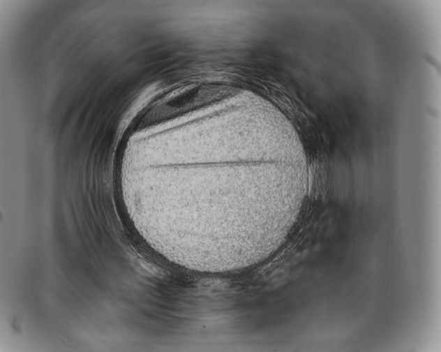 X0000096660195200803041207