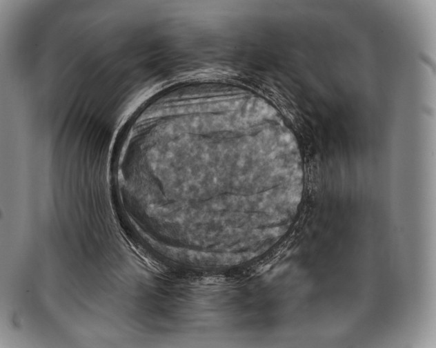 X0000096660196200803041207