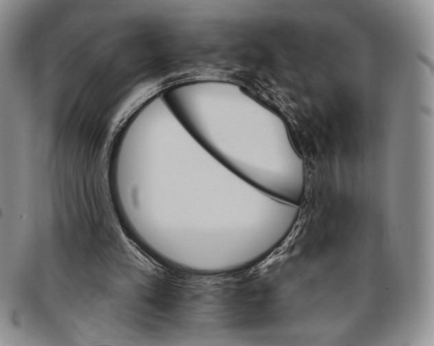 X0000096660197200803041207