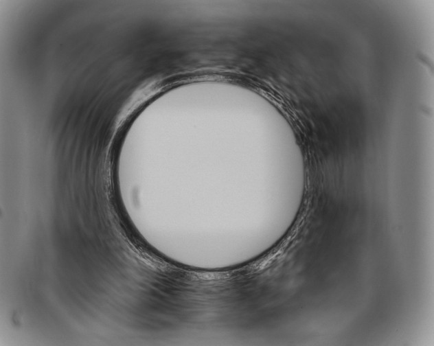 X0000096660198200803041207