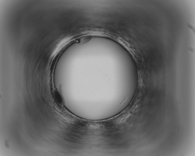 X0000096660199200803041207