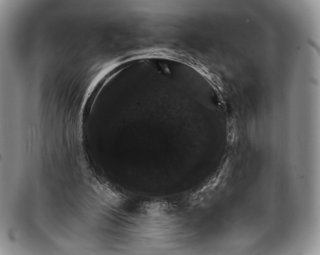 X0000096660200200803041207