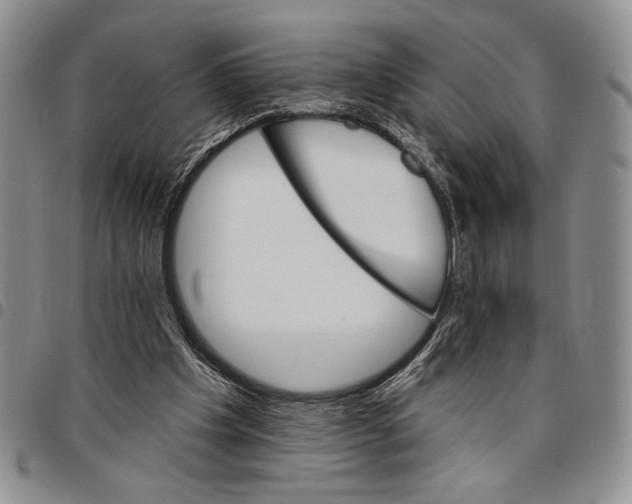 X0000096660201200803041207