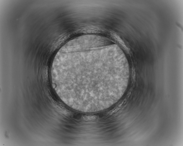 X0000096660202200803041207