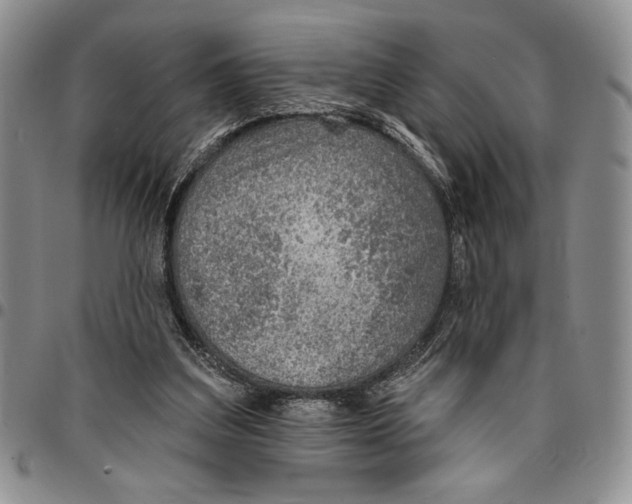 X0000096660203200803041207