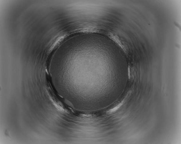 X0000096660205200803041207