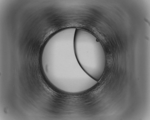 X0000096660207200803041207