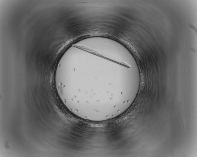 X0000096660208200803041207