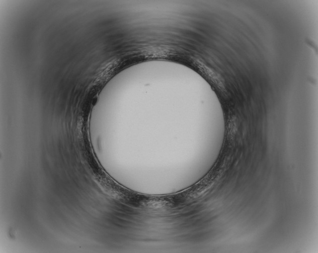 X0000096660209200803041207