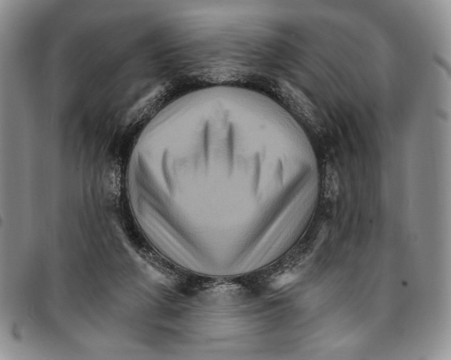 X0000096660210200803041207