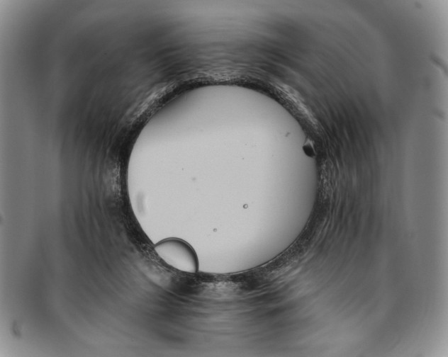 X0000096660212200803041207