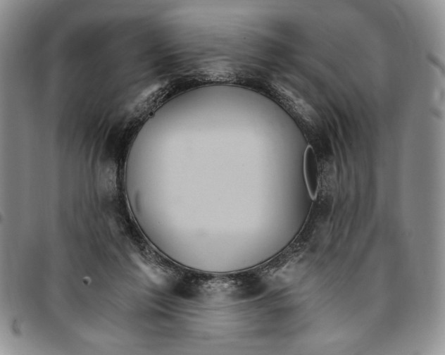 X0000096660213200803041207