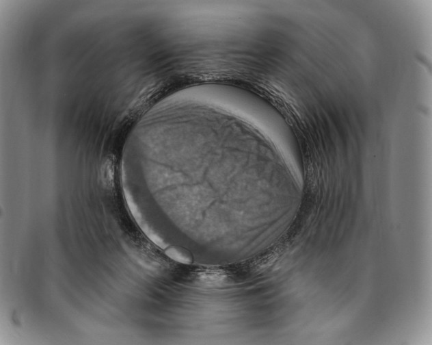 X0000096660214200803041207