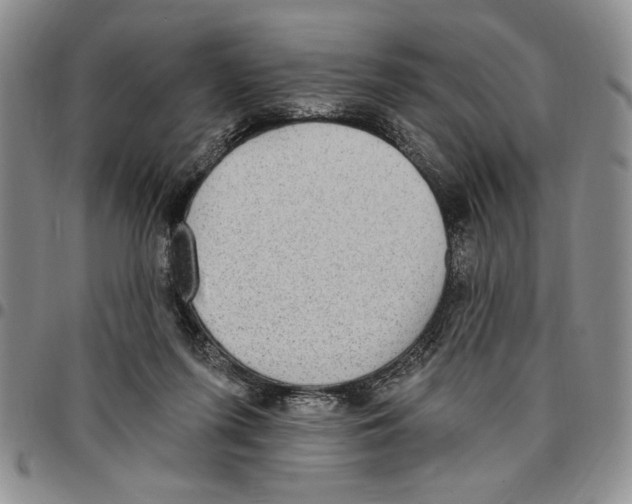 X0000096660215200803041207