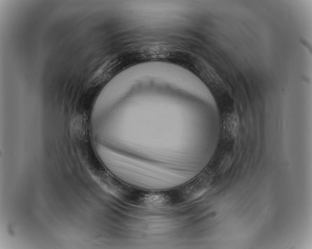 X0000096660218200803041207