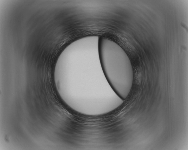 X0000096660219200803041207