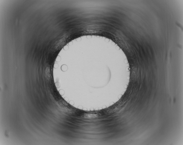 X0000096660220200803041207