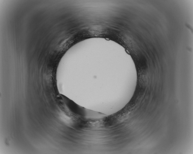 X0000096660221200803041207