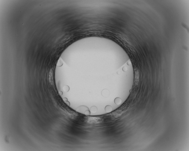 X0000096660222200803041207