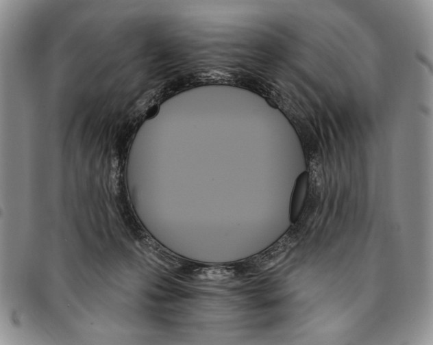 X0000096660223200803041207