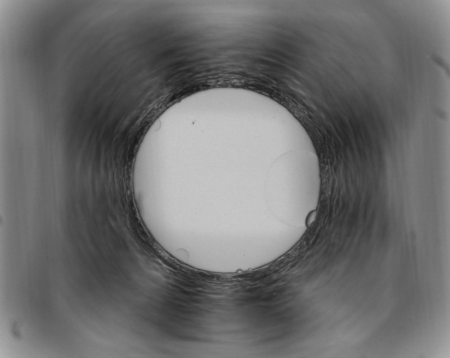 X0000096660224200803041207