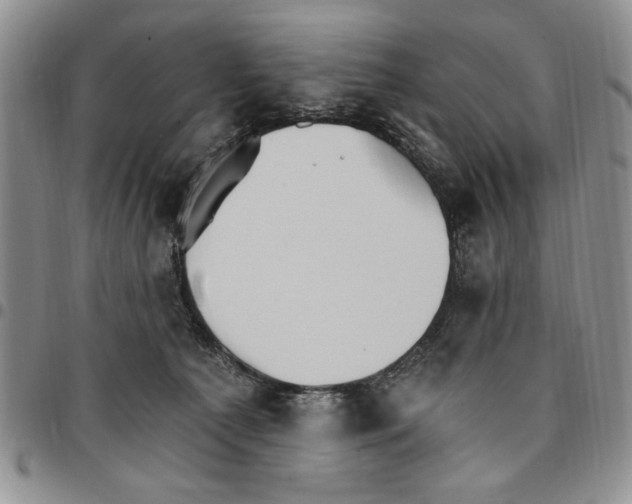 X0000096660225200803041207