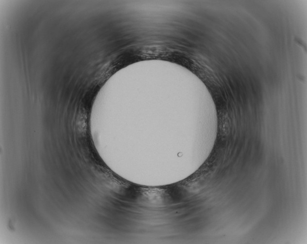 X0000096660226200803041207