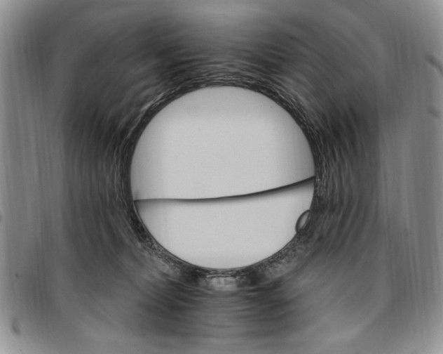 X0000096660228200803041207