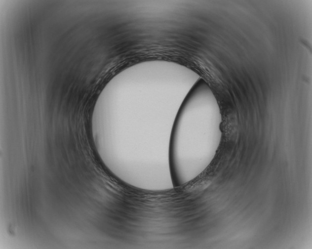 X0000096660229200803041207